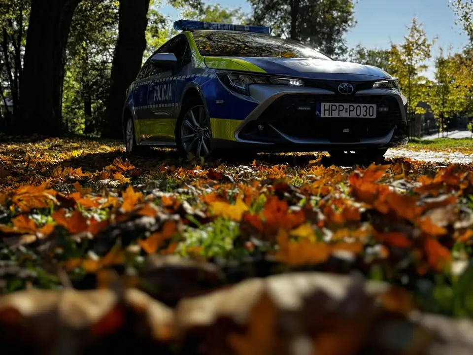 Bezpieczeństwo na drogach jesienią – wspólne działania na rzecz ochrony